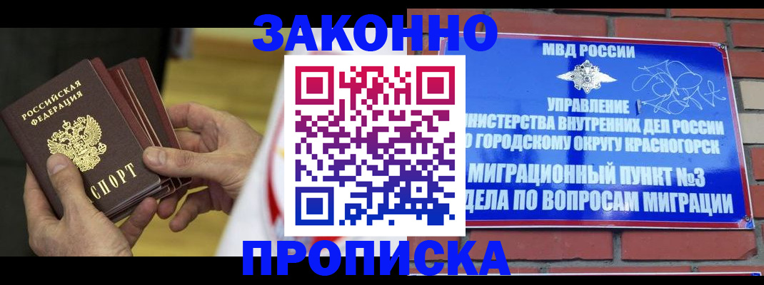 прописка для школы в Богородске